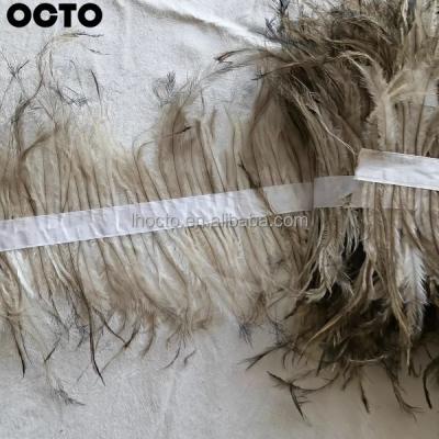 China Dishonest Emu Feather Trimming Ostrich Fringe Trim Lace Of Dress Accessories Customization Fashion Accessory 10-20cm for sale