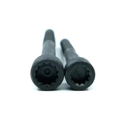 China Widely Used Exagon Socket Thread Straight Screw 12 Point Socket Bolt Cylinder Head Screw Fasteners for sale