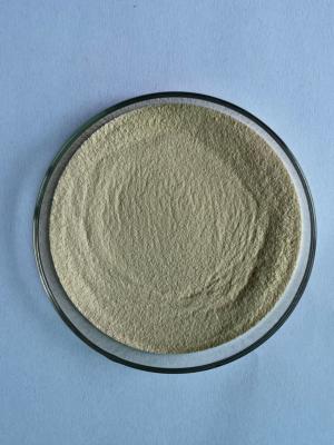 Cina Microencapsulated Palm Fat Powder For Poultry in vendita