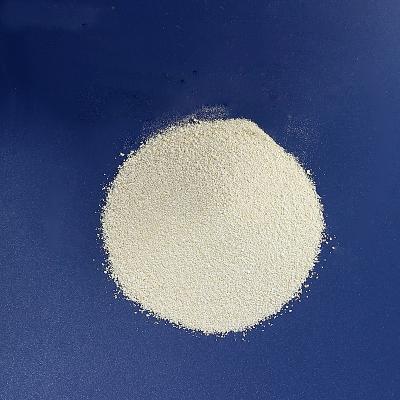 Chine Monoglyceride 30% Sodium Butyrate Powder With Bile Acid à vendre