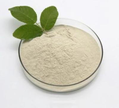 中国 Bacillus Subtilis 90% C4H7O2Na Sodium Butyrate Powder CAS 156-54-7 販売のため