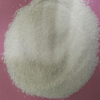 Cina 90% Calcium Butyrate Powder Plus Bacillus Licheniformis For Growth Promotion in vendita