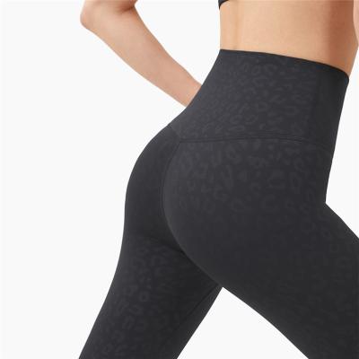 China Factory Wholesale CK1237 Gym Exercise Gaiters Seamless Breathable Sports Wear Women Stretch Nylon Yoga Pants for sale