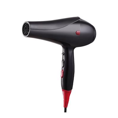 China AC Motor Powerful Ionic Hair Blower Dryer Professional Ionic Hair Dryer With Private Label for sale