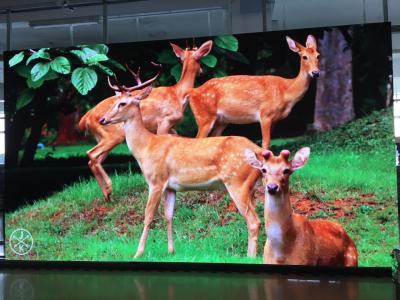 China P4.81 protegem contra intempéries a instalação conveniente conduzida exterior da exposição da propaganda para a rua à venda