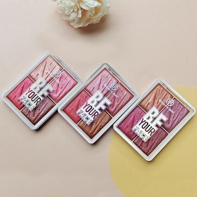 China 2022 Romantic Shimmer Bird Design Blusher New Easy To Color Private Label High Quality Customized Logo Valentine Gift 47 Color for sale