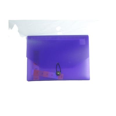 China Office School A4 Stationery Expanding 13 File Organization Pockets File Expansion Envelope Plastic Folder for sale