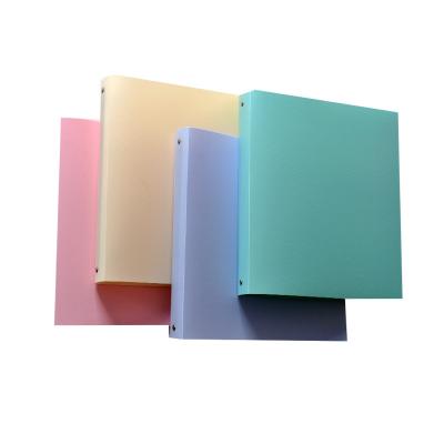 China Plastic Folder A4 Office School Stationery Rack 2 Holes O Ring Custom Binder for sale