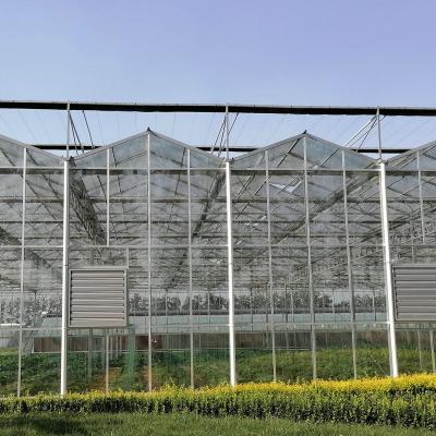 China Agropecuária Venlo Estufas de vidro com estrutura de alumínio para cultivo agrícola à venda