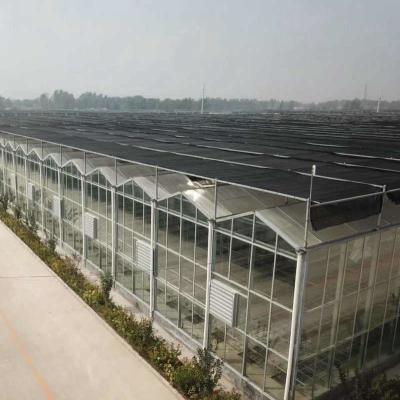 Chine Équipement de serre pour l'exploitation agricole Système d'ombrage intérieur extérieur en verre à longue portée à vendre