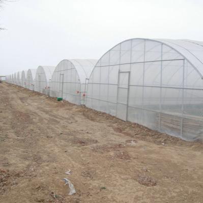 China 9x30m Plastic Tunnel Greenhouse Covered Plastic Film For Vegetable Growing for sale