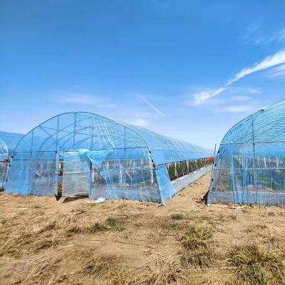 China high quality cear UV resistant greenhouse film plastic agriculture used for strawberry flower hydroponic for sale