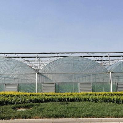 China 10000m2 Gran extensión Agricultura Invernadero de múltiples extensiones Película de plástico Invernadero para el cultivo hidropónico en venta