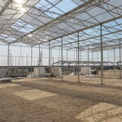 China 9x12 9x14 9x7 Plaat Polycarbonaat PC Plaat Kas Voor Hydroponisch Groei Systeem Te koop