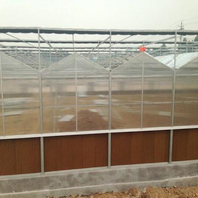 China 9.6m Span Venlo Pc Sheet Invernadero Cuadro de acero galvanizado Invernadero utilizado para la agricultura en venta