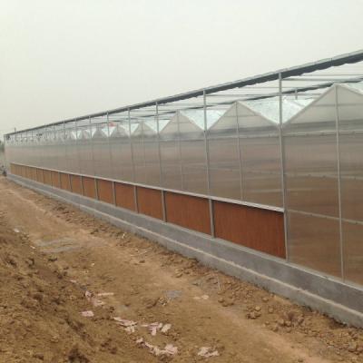 China 12m Wide Span 6mm 8mm 10mm 4mm 3mm Polycarbonate Sheet Greenhouse Hollow With Shading System for sale