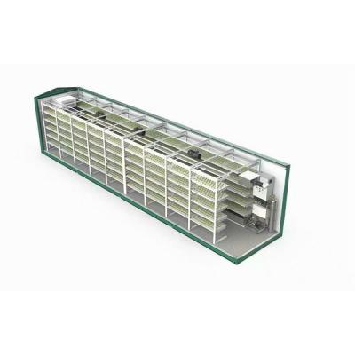 China 40 Feet Container Farming Plant Factory For Hydroponic Growing Lettuce Leaf Vegetable Growing for sale