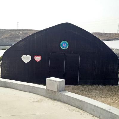 China Fuerte invernadero de túnel 3m x 2m 9m 10m crecimiento de hongos red de sombra de ventilación natural en venta