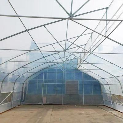 Chine Serre hydroponique à l'intérieur de la zone tropicale, poly-tunnel, serre à sciure avec système d'irrigation de refroidissement à vendre