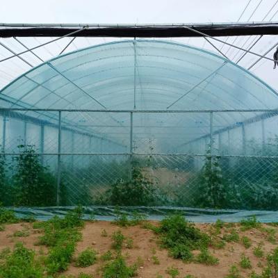 China 8m Wide Span Tomato Greenhouse Farming Commercial Poly Tunnel With Shading System Spray Irrigation System for sale