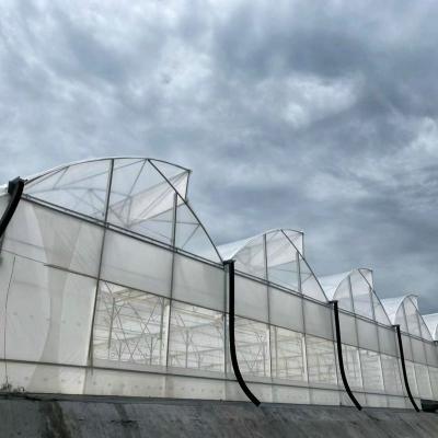 China Multi Span Agriculture Greenhouse Sawtooth With Cooling System Nursery Seedbed System for sale