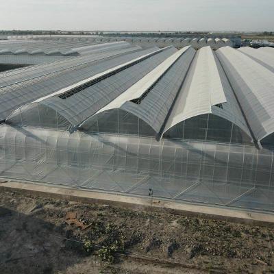 China Double Layer Plastic Film Greenhouse With Cooling System Heating System Shading System Grow Tomatoes for sale