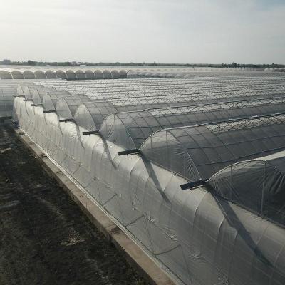 China 6m 7m 8m 9m Span Clear Plastic Film Greenhouse Vegetable Farming Tomatoes Pepper Lettuce for sale