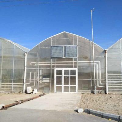 China 12x20 12 X 8 12 X 6  Polycarbonate Greenhouse With Cooling System And Heating System Roof Film Side for sale