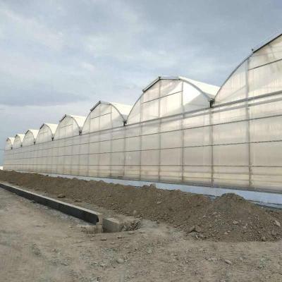 China 3mm 4mm 16mm 10mm Hollow Galvanized Polycarbonate Greenhouse With Growing System In Turkmenistan for sale