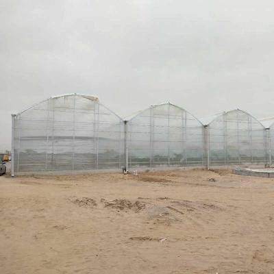 China Large Agricultural Polycarbonate Sheets Greenhouse Price From China for sale