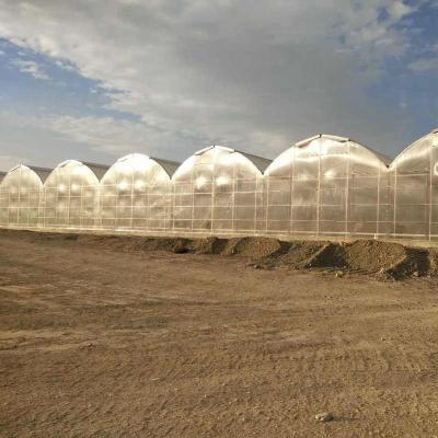 China Steel Frame Polycarbonate Greenhouse For Vegetables Multi Span PC Board Greenhouse Agriculture Outdoor for sale