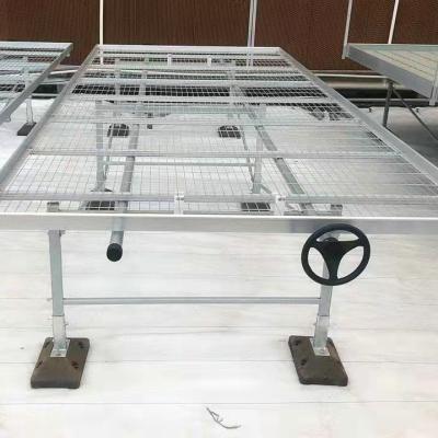 China Diy Bancos de rodadura de invernadero comercial malla de acero galvanizado para orquídeas floristería riego en venta