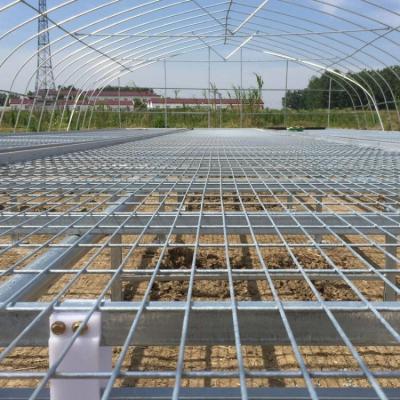 China 1.7m 1.8m Welded Wire Mesh Steel Rolling Benches Table Seedbed For Vegetable Nursery Seedling In Greenhouse for sale