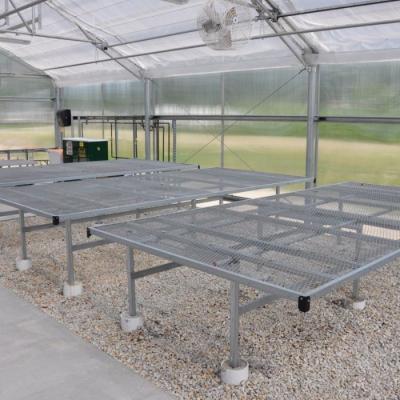 China En el caso de las plantas de metal galvanizado, el banco de la mesa es el invernadero para la planta de verduras de flores en venta