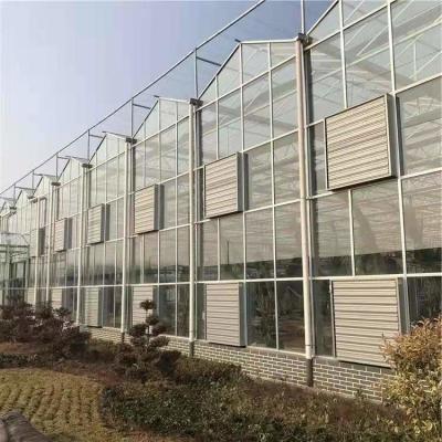 China Tomate Pepino Alface Sistema de Estufas Venlo Agricultura Com Ventilador de Resfriamento à venda