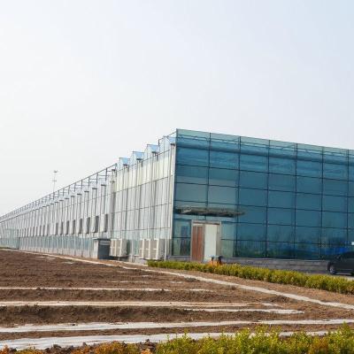 China 10x10 10x12 10x6 Aluminium Venlo Glas Gewächshaus wachsen Rose mit Kühlsystem Lüftungssystem zu verkaufen