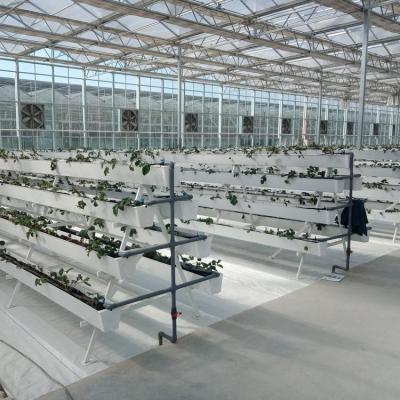 Cina 9.6m 10.8m 12m span venlo serra in vetro prefabbricato al coperto per la coltivazione idroponica vegetale in vendita