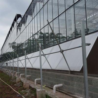 Cina 3 mm 4 mm Tomato Venlo Vetro Portatile Serra e Controllo della Ventilazione laterale con Motore in vendita