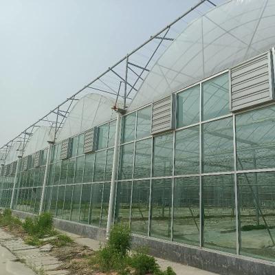 China Invernadero Modular Agrícola En Venta Cúpula Capa del Techo Película Capa lateral Multi Span Pepinillo Salata de cultivo en venta