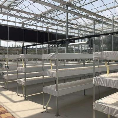 China Wasserproduktion Landwirtschaftliche Gewächshäuser Hersteller Hydroponisches Anbausystem Rolling Bench System zu verkaufen