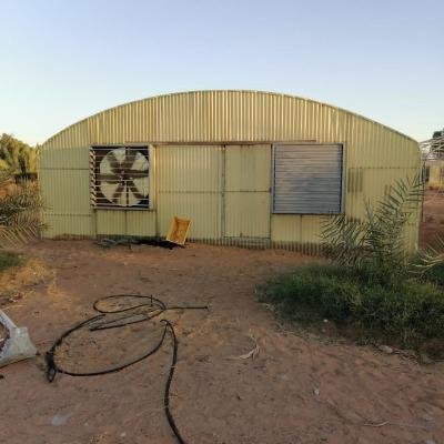 Chine Plaque ondulatoire à charge lourde Polytunnel Tête en plastique Toit à film jaune Cultiver des légumes à vendre