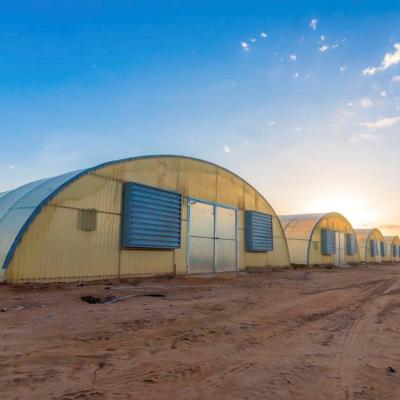 Chine Tunnels industriels poly pour les jardins Tête de toit Tunnel à film jaune en plastique de serre à vendre