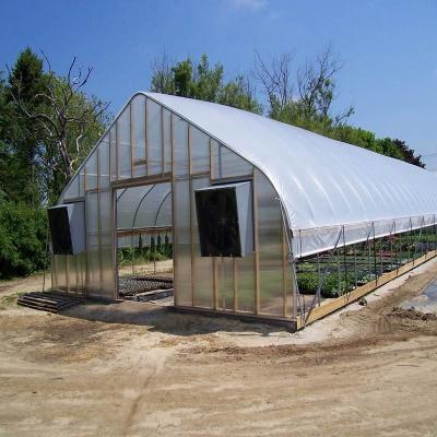 China 500m2 Jardín Invernadero gótico Poli Film Resistencia al viento para tomates Cucurbita de cultivo en venta