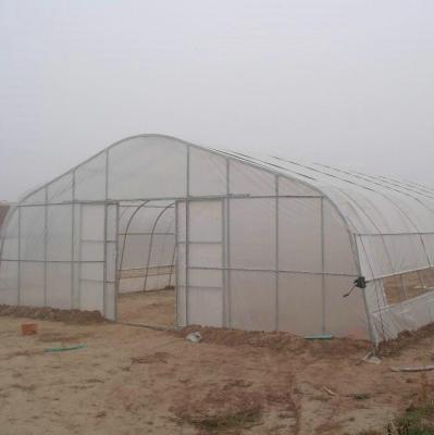 China Warm te koop Hoogtunnel Plastic Single Span Serre Landbouw Voor groenteboerderij Te koop