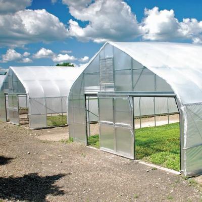 China Polycarbonate Greenhouse For Sale Single Span Greenhouse Gothic for sale