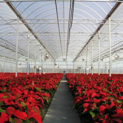 China OEM PO PE Polyethylene Film Greenhouse Multi Span 4 Season Growing For Flower for sale