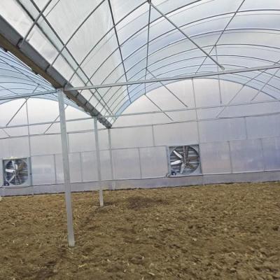 China Vegetable Agricultural Tomatoes Dome Roof 7-10m Span Po Film Greenhouse for sale