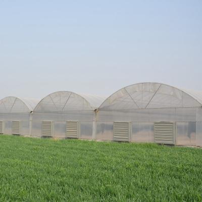 China 6 Foot 8 Foot Double Roof Arch Muliti Span Film Greenhouse Keep Warm For Tomatoes for sale