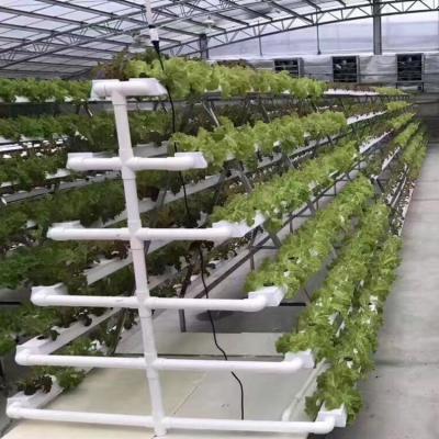 China Sistema de cultivo de canales hidropónicos verticales de Nft para verduras de lechuga en venta