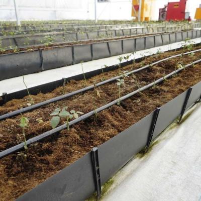 China Sistema de cultivo sem solo PP Cultivo através de um canal de coleta através de um canal de cultivo preto Tomates rosas pepinos à venda